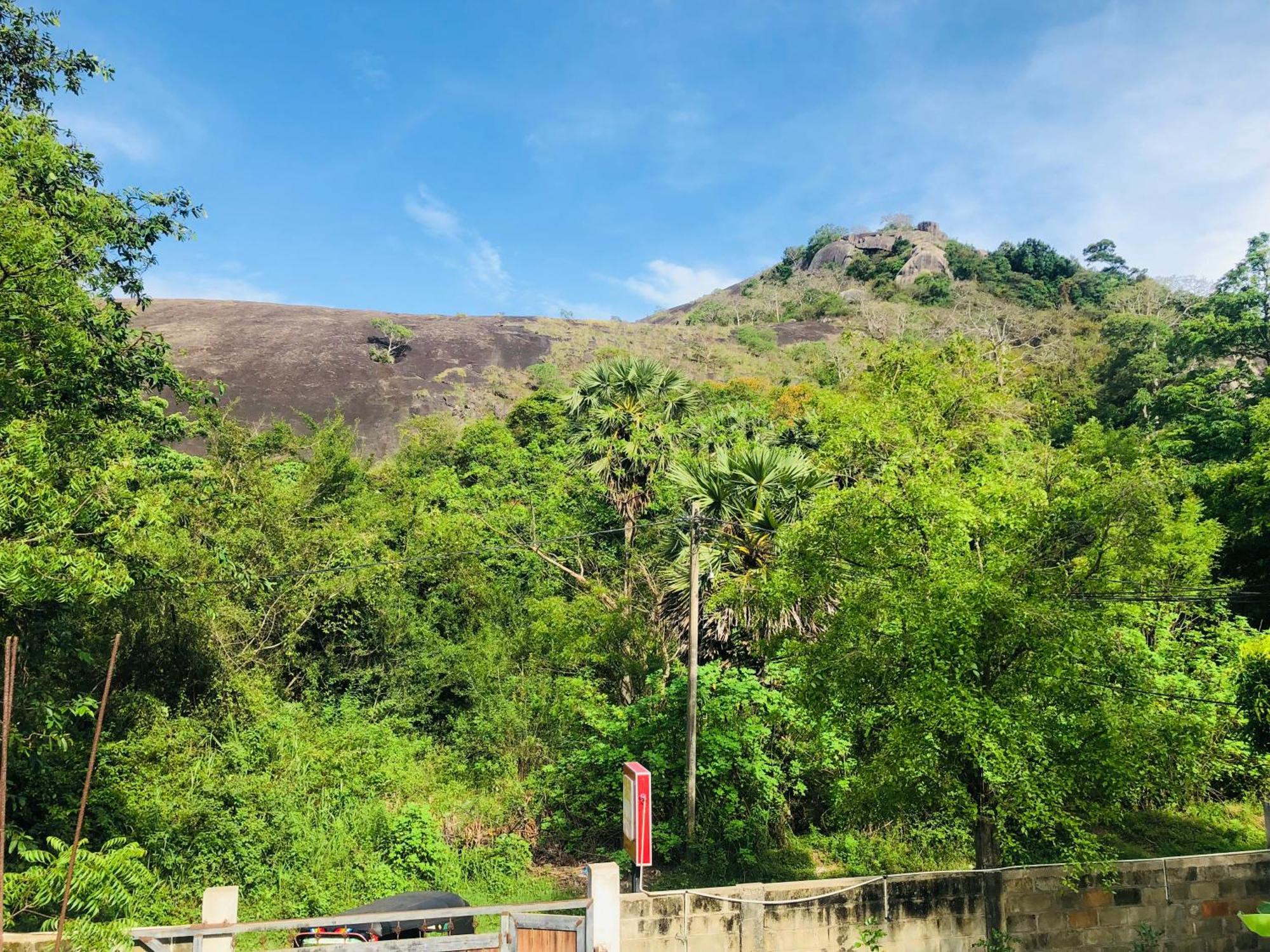 Nature Rock Dambulla 호텔 외부 사진