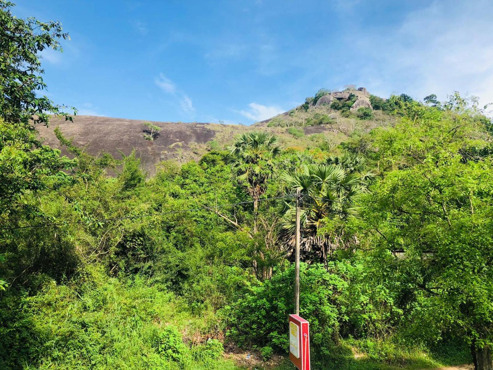 Nature Rock Dambulla 호텔 외부 사진