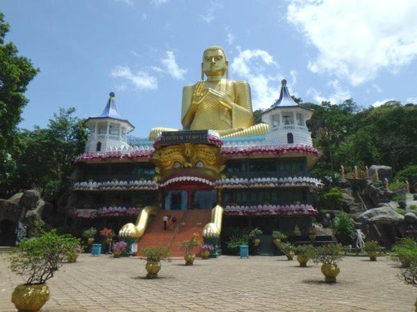 Nature Rock Dambulla 호텔 객실 사진